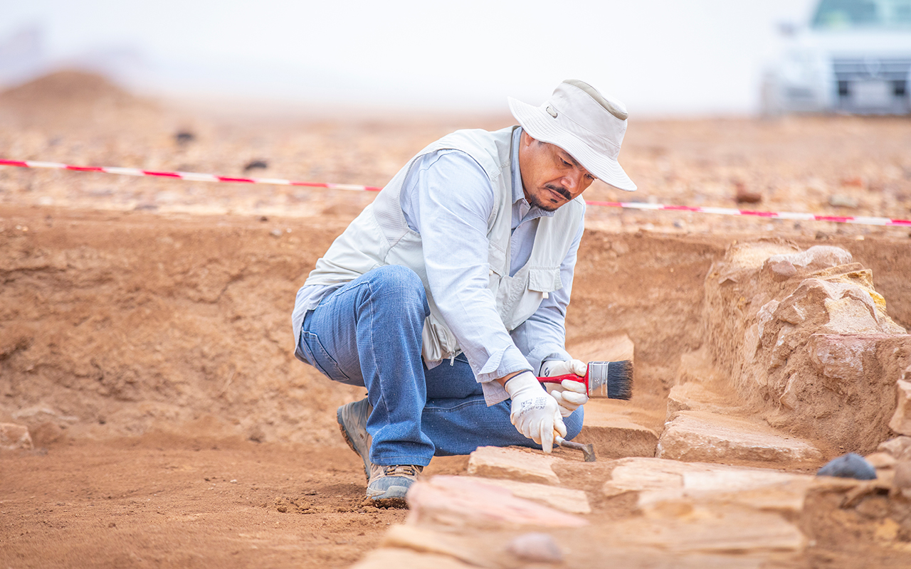 Archaeological Walkover Survey